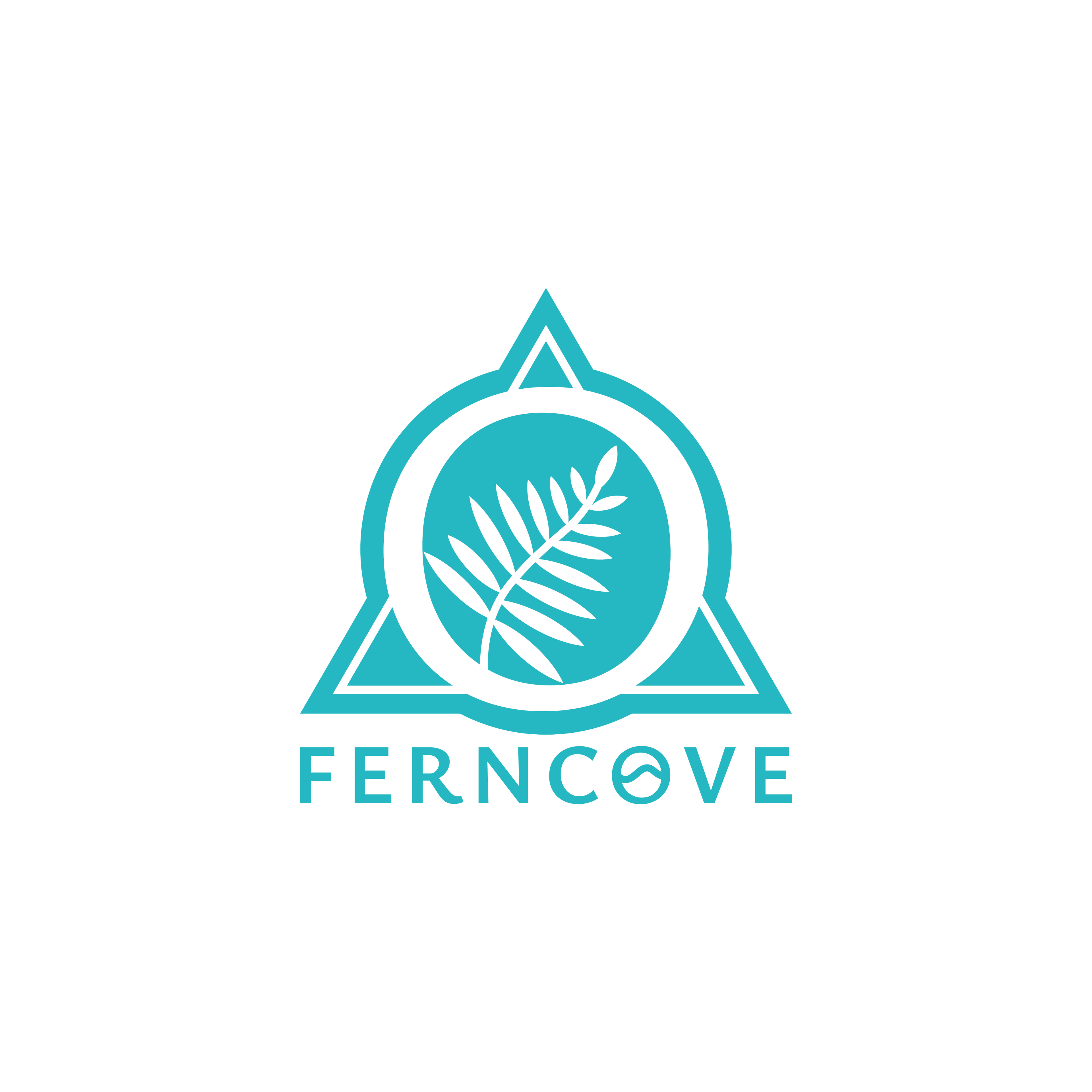FERNCOVE LTD